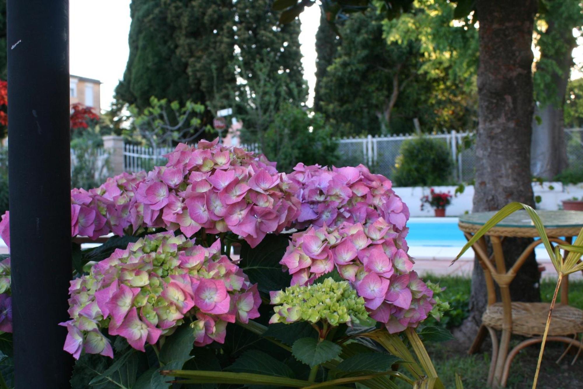 B&B Desenzano Desenzano del Garda Exterior foto