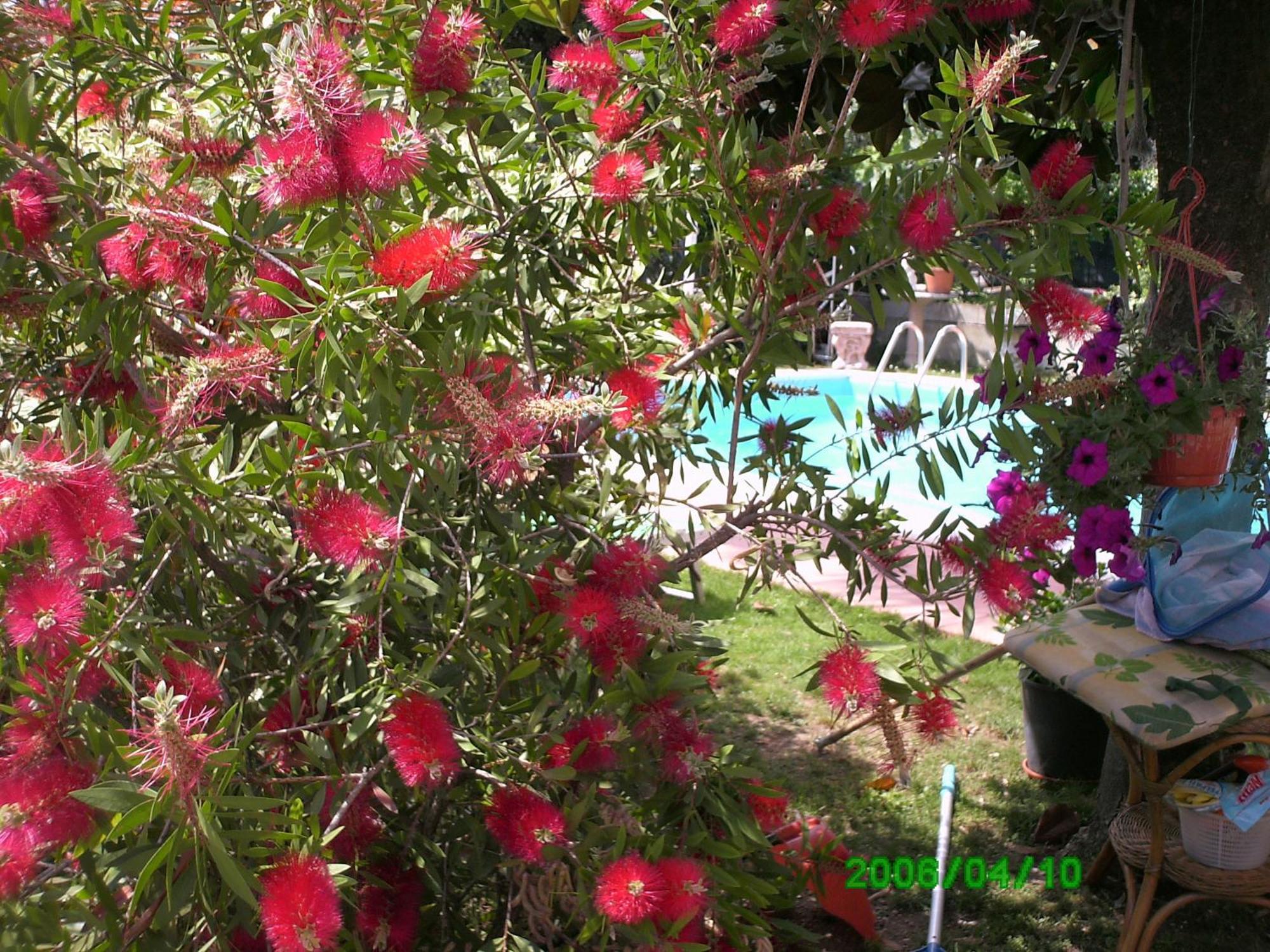 B&B Desenzano Desenzano del Garda Exterior foto